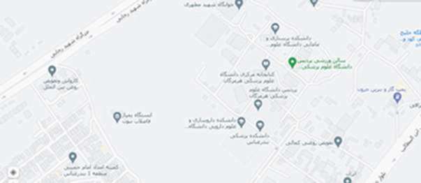 google map image